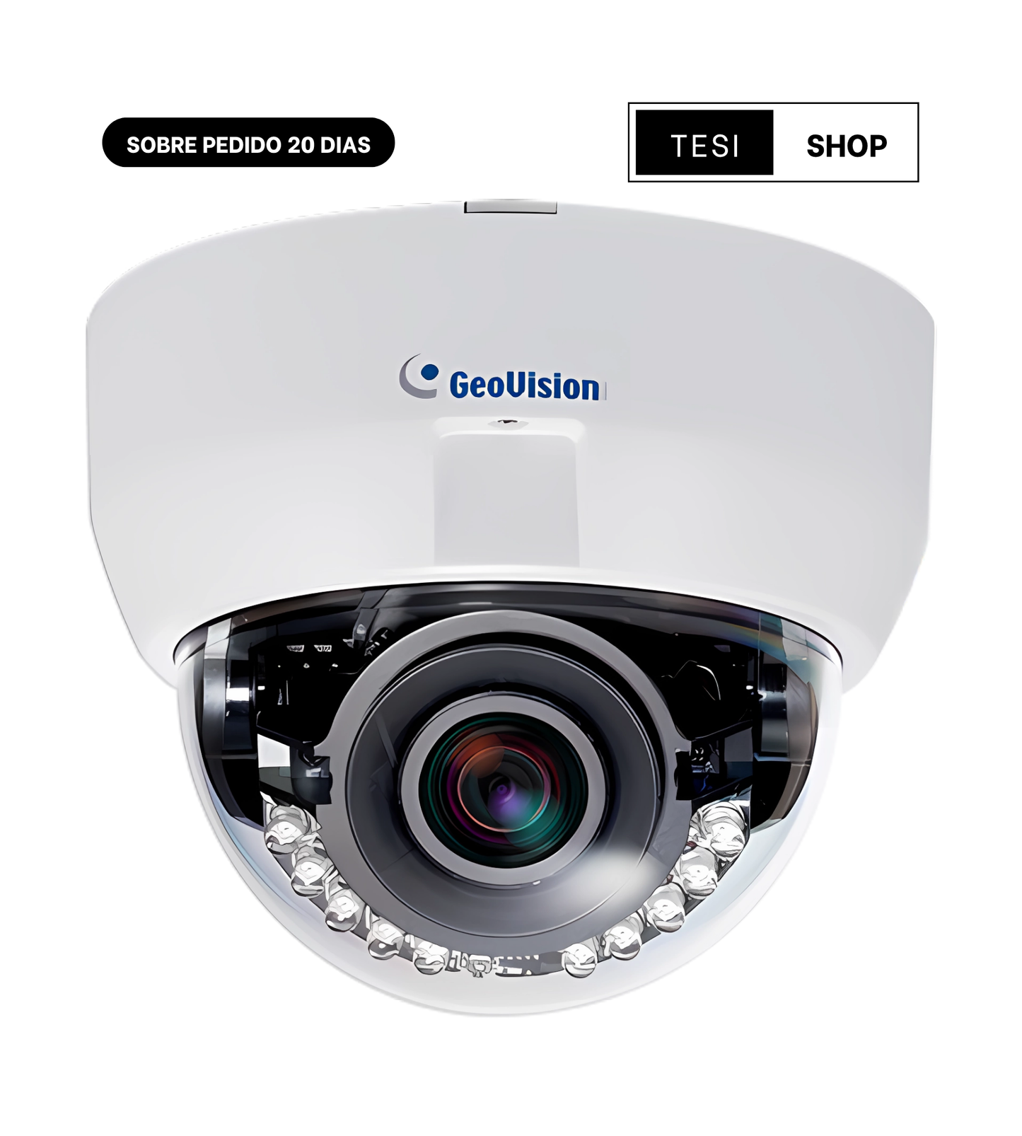 GV-FD8700-FR
