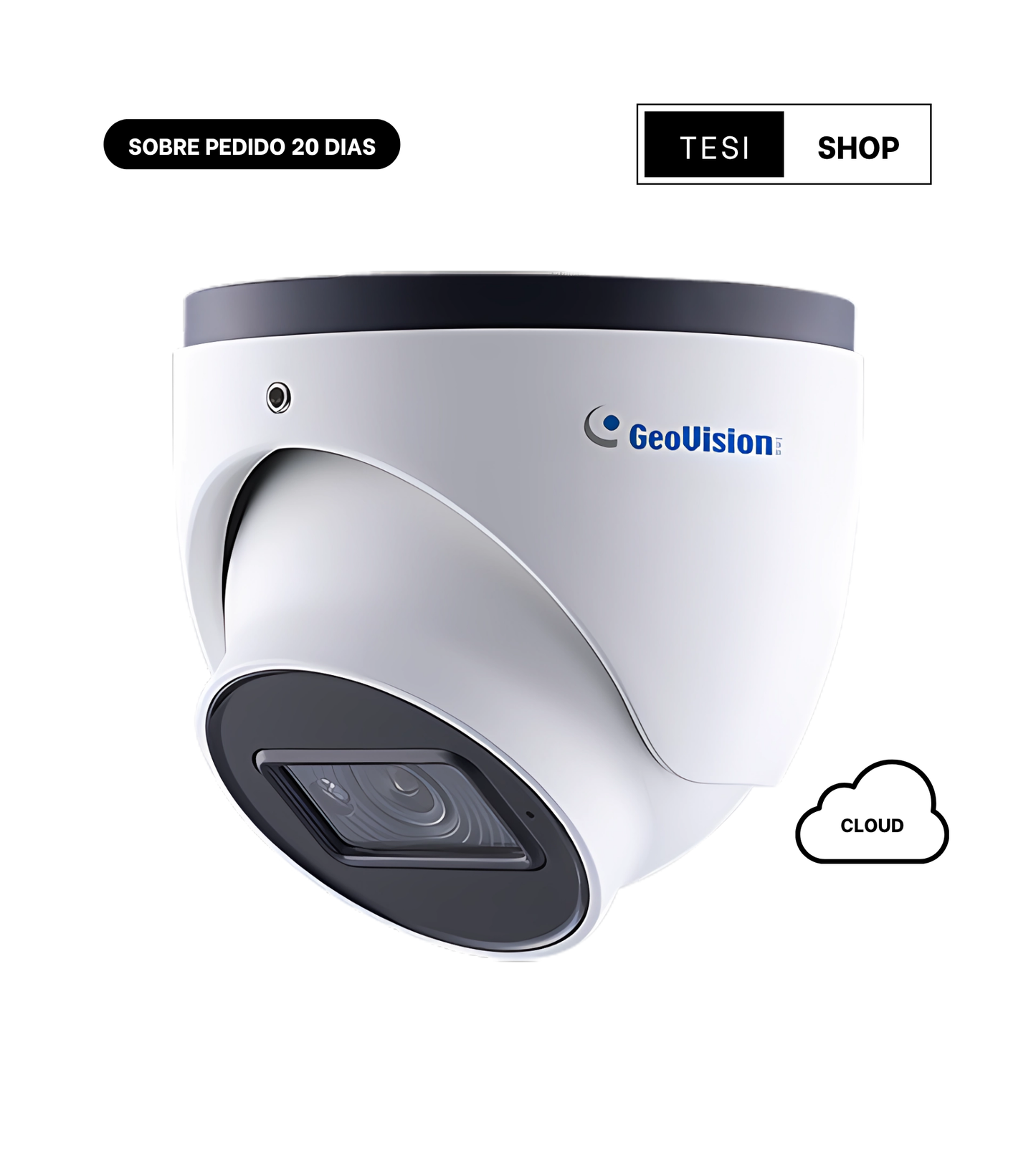GV-GEB4900 Cámara IP GeoVision 4MP H.265 Super Low Lux WDR Pro IR Eyeball