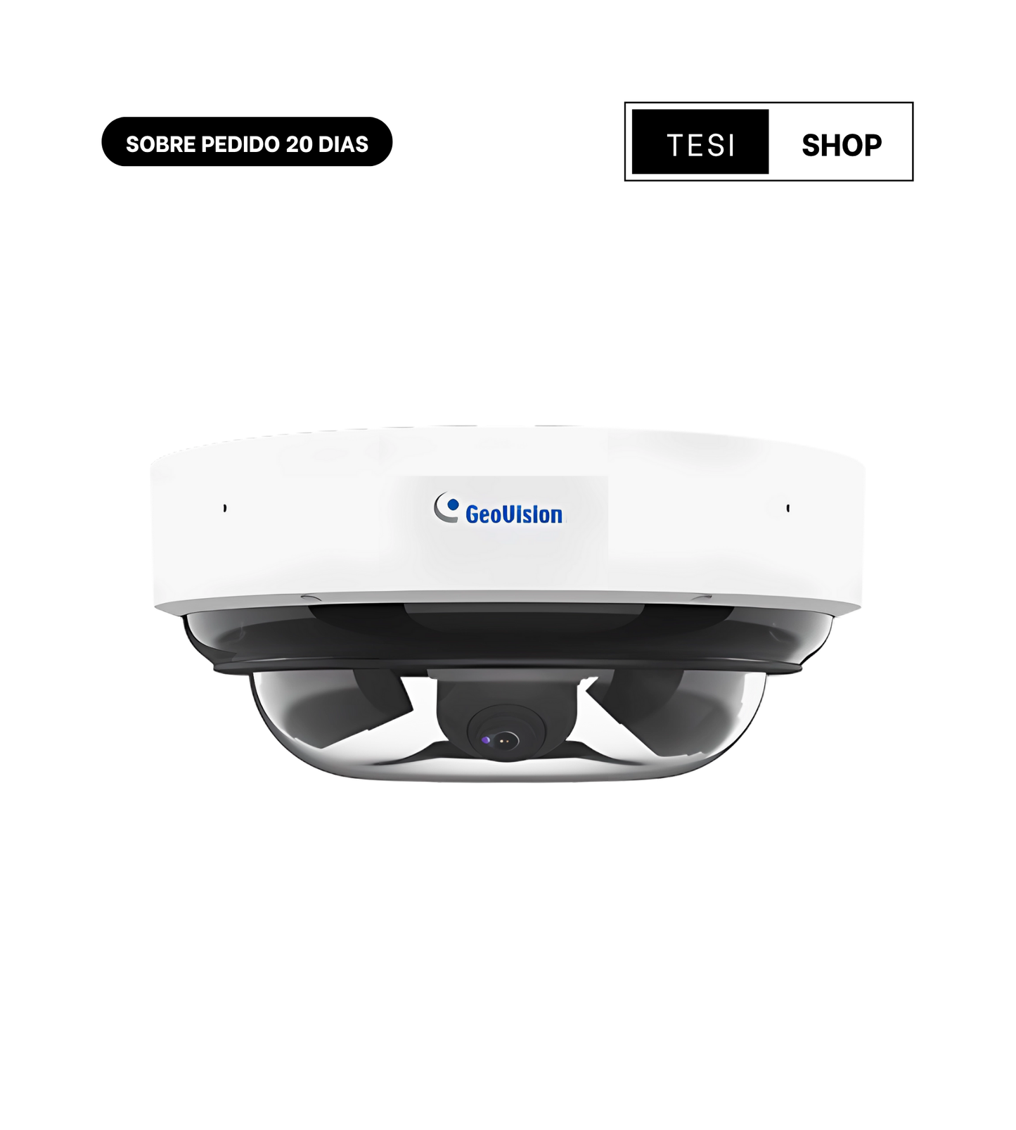 GV-TMS20811